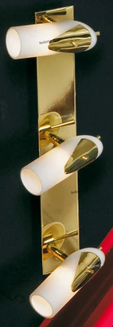 Настенно-потолочный светильник Lussole Gessate LSL-0401-03