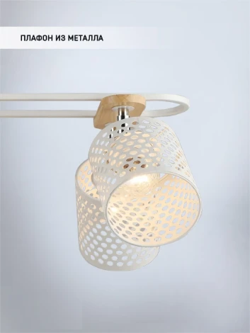 Потолочная люстра Wedo Light Sapri WD3607/4C-WT