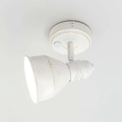 Спот Citilux Опус CL502513 (220V, выключатель, круглые)