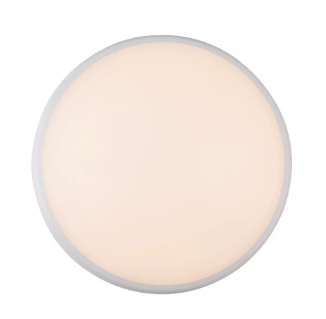 Потолочный светильник уличный Globo Aemon 32109S