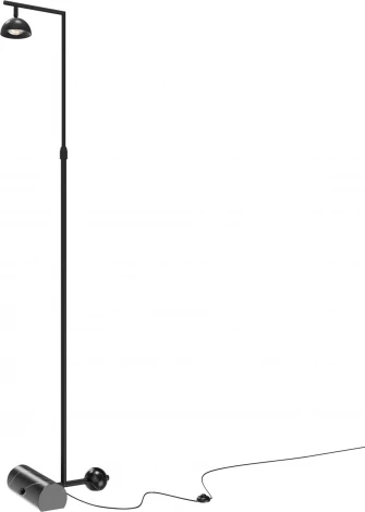 Торшер Maytoni Pikant MOD372FL-L10B3K (LED, 220V, выключатель)