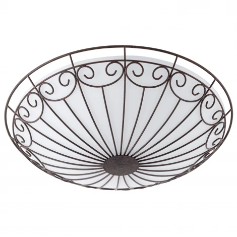 Настенно-потолочный светильник Eglo Colti 92142