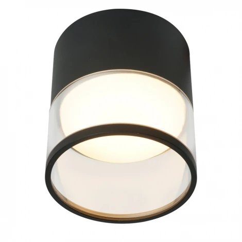 Потолочный светильник встраиваемый Feron HL454 48751