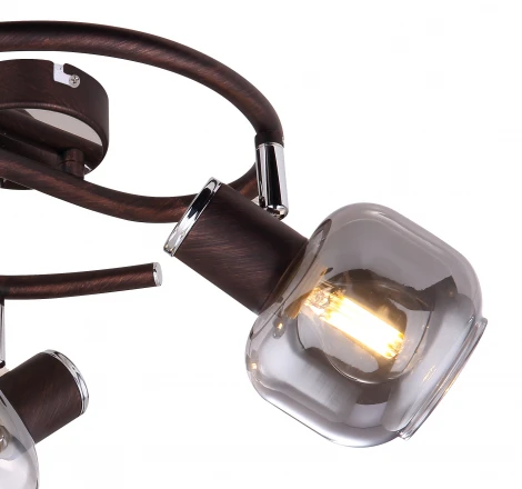 Спот Pallo 54303-3 Globo (220V)