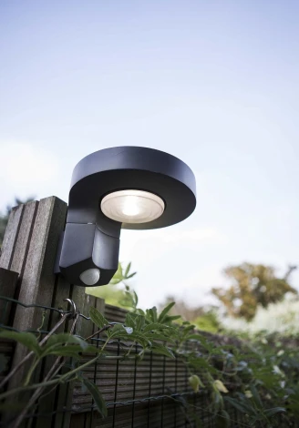 Настенный светильник уличный Oasis Light P9067-PIR