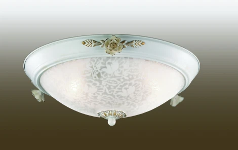Настенно-потолочный светильник Odeon Light Bone 2692/3C