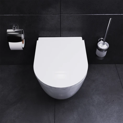 Унитаз подвесной Damixa Sirius DX86C1700SC с микролифтом