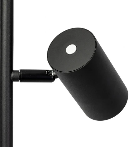 Торшер Citilux Twin CL809011N (LED, 220V, сенсорный выключатель)