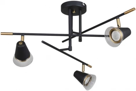 Потолочная люстра на штанге F-Promo Trandy 4618-3C (220V)