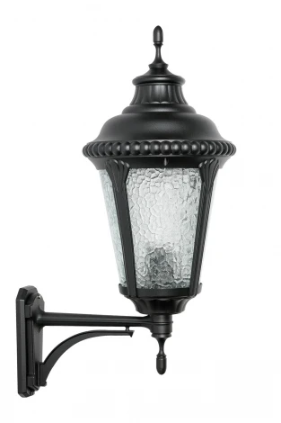 Настенный фонарь уличный Oasis Light 79751М Bl (220V, IP44)