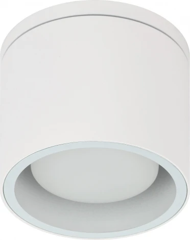 Точечный светильник ЭРА WL40 WH (220V, круглые, IP54)