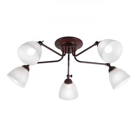 Люстра потолочная Day&Night, 5 плафонов, коричневый с белым
