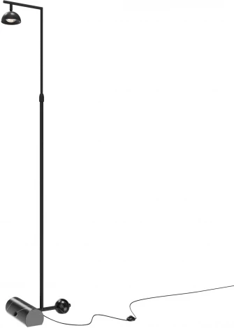 Торшер Maytoni Pikant MOD372FL-L10B3K (LED, 220V, выключатель)