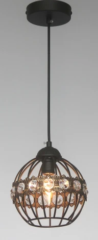 Подвесной светильник F-Promo Globi 1801-1P