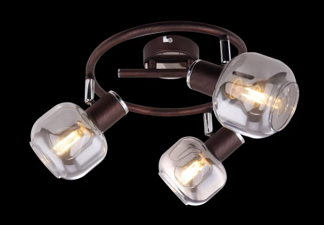 Спот Pallo 54303-3 Globo (220V)