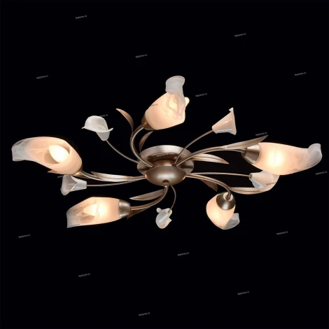 Потолочная люстра MW-Light Восторг 242016205