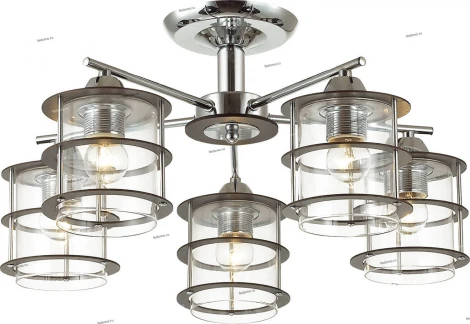 Потолочная люстра Lumion Rotondum 3504/5C