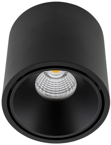 Накладной светильник светодиодный DesignLed GW GW-8701-20-BL-NW (220V, круглые)