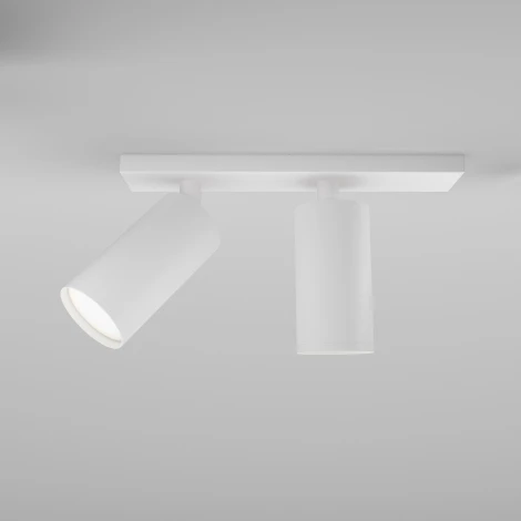 Потолочный светильник FOCUS S GU10 2x10Вт Maytoni Technical C051CL-U-2W (220V, круглые)