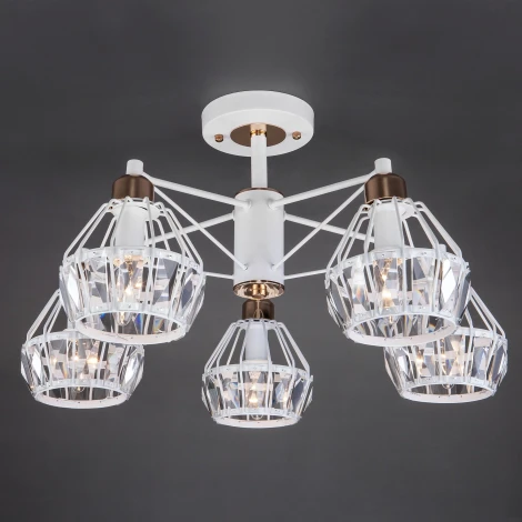 Потолочная люстра Eurosvet Lord 70075/5 белый (220V)