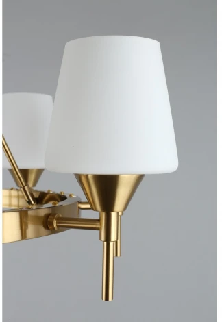 Подвесная люстра Aployt Lyus APL.840.03.08