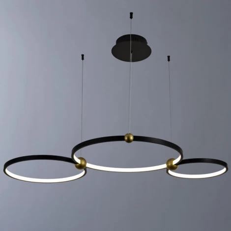 Подвесной светильник Divinare Amadeo 1123/04 SP-75 (LED, 220V, на тросе, кольцо)