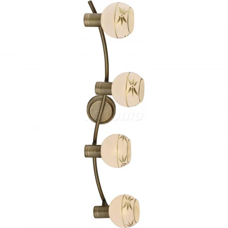 Спот Toplight Sharleen TL3790Y-04AB