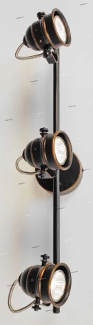 Спот на штанге Citilux Веймар CL537531 (220V, круглые)