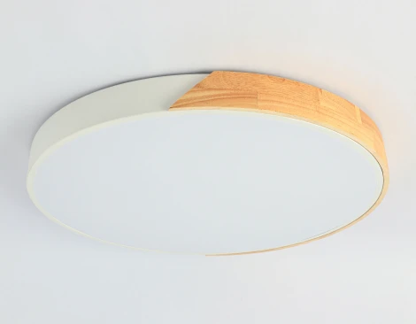 Потолочный светильник круглый светодиодный ORBITAL FZ1300 (220V, круглые)