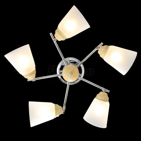 Максисвет 1-8822-5-CR+WE E14