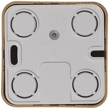 ТВ-розетка накладная оконечная (ясень) Systeme Electric Blanca BLNTA000015