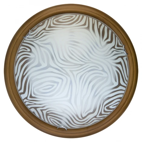 Настенно-потолочный светильник Toplight Agatha TL9260Y-00OA