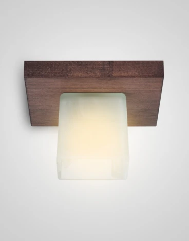 Потолочный светильник прямоугольный Мелодия Света SS1N 000036808