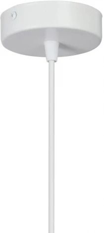 Подвесной светильник V4382-0/1S (220V)