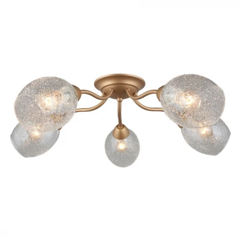 Потолочная люстра Omnilux Miglionico OML-55507-05