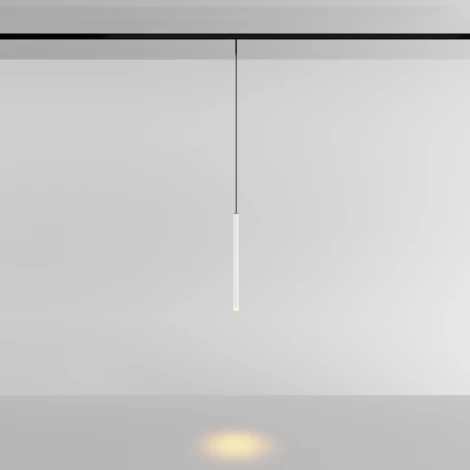 Трековый светильник магнитный 3W 24V Maytoni Skim TR191-1-3W2.7K-M-BW (LED, круглые)