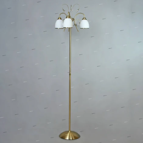 Brizzi Tarragona MA02640F/003 Bronze