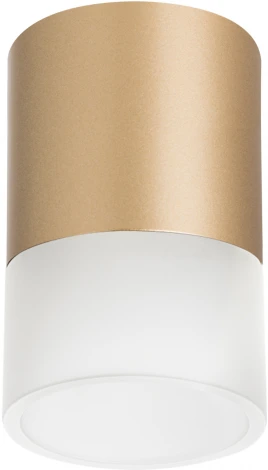 Светильник точечный накладной Lightstar Rullo R349081 (220V, круглые)