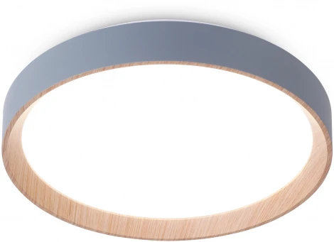 Потолочный светильник круглый светодиодный Ambrella Orbital FZ1320 (220V, пульт управления, круглые)