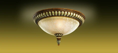Потолочный светильник Odeon Light Ruffin 2455/3C