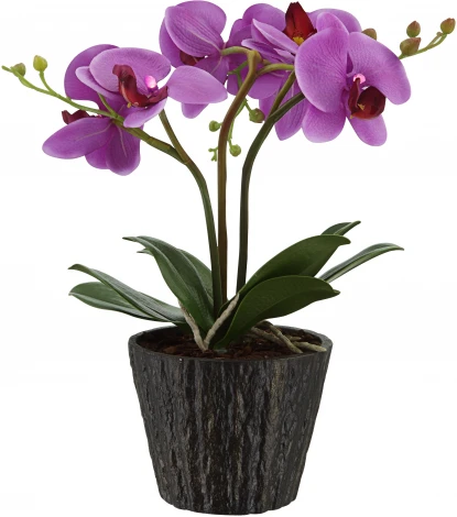 Интерьерная настольная лампа Globo Flowerpower 28003
