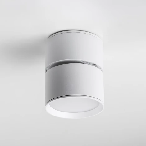 Накладной потолочный светильник Lightstar Acuto 215836 (LED, 220V, круглые, IP44)