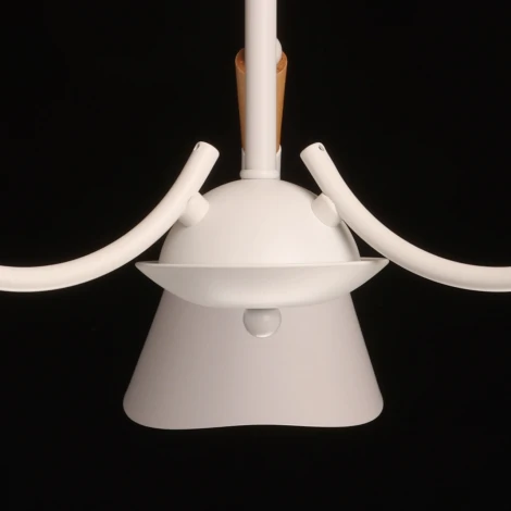 Потолочная люстра на штанге De City Дэла 635014703 (220V)