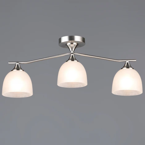 Потолочная люстра на штанге Reluce 06414-0.3-03 SL (220V)