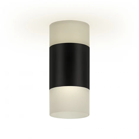 Накладной светильник Ritter Kassel 52066 5