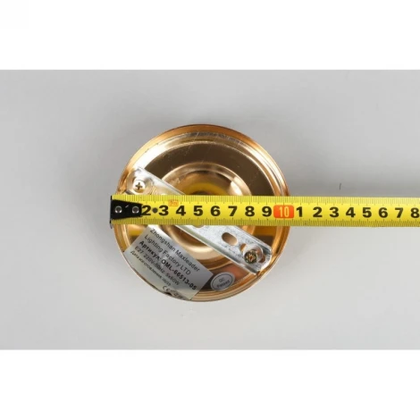 Подвесная люстра Omnilux 665 OML-66513-05 (220V, на цепи)