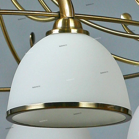 Brizzi Almeria MA02401CA/008 Bronze