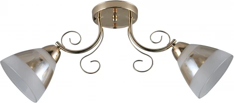 Потолочная люстра Ritter Modena 52544 8