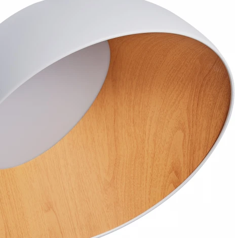 Потолочный светильник круглый светодиодный Zortes Baum ZRS.01201.19 (220V, круглые, IP21)