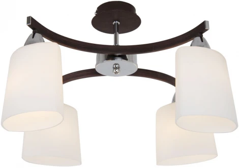 Потолочная люстра Citilux Astra CL138141